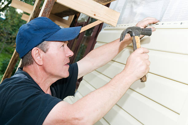 Best Steel Siding Installation  in Olive Branch, MS
